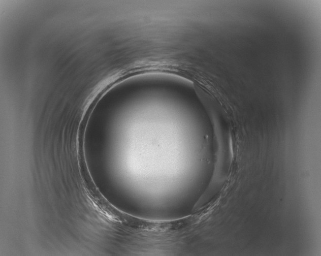 X0000076430148200610161201