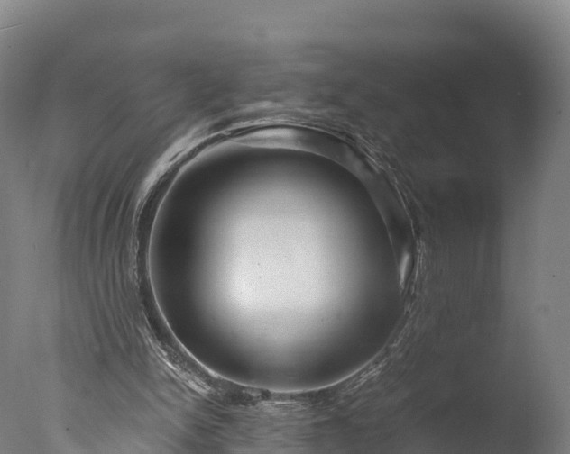 X0000076430150200610161201