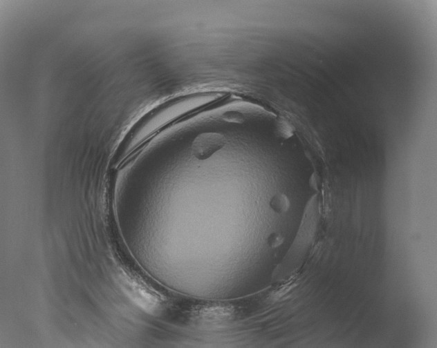 X0000076430156200610161201
