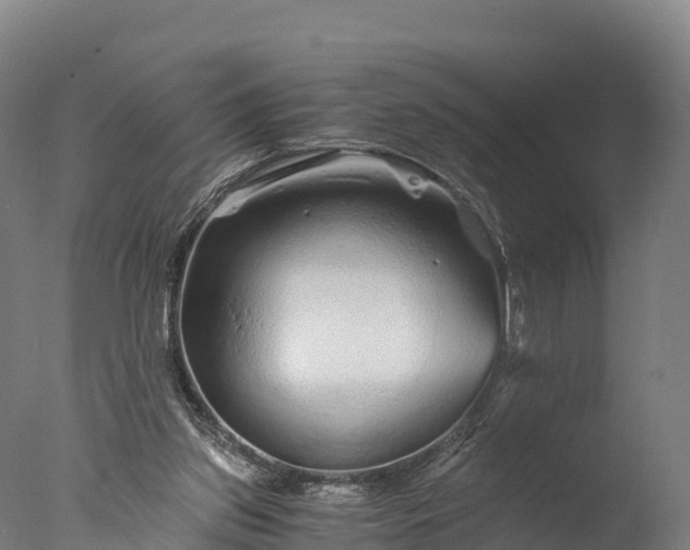 X0000076430157200610161201