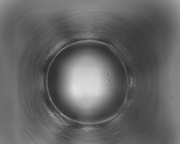 X0000076430158200610161201