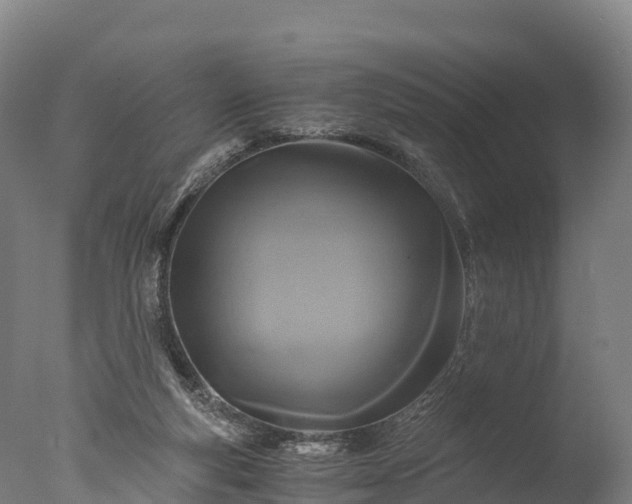 X0000076430163200610161201