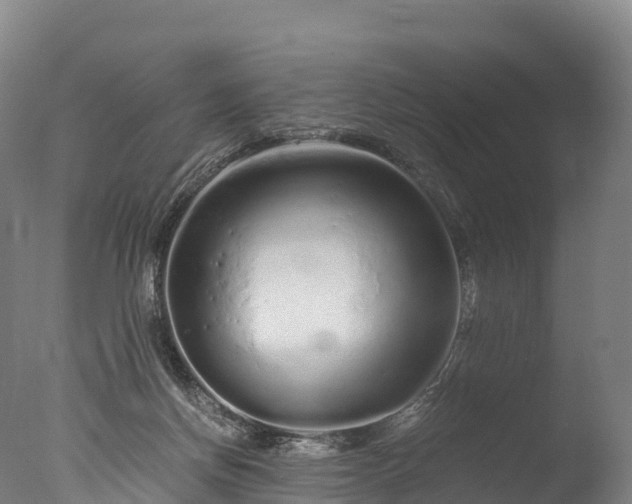 X0000076430166200610161202