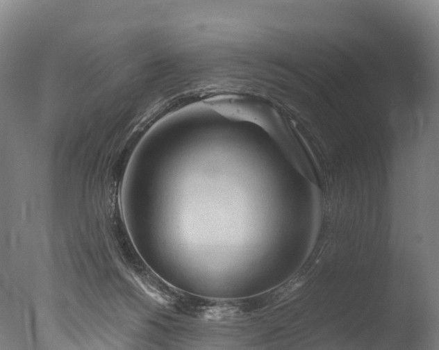 X0000076430168200610161202