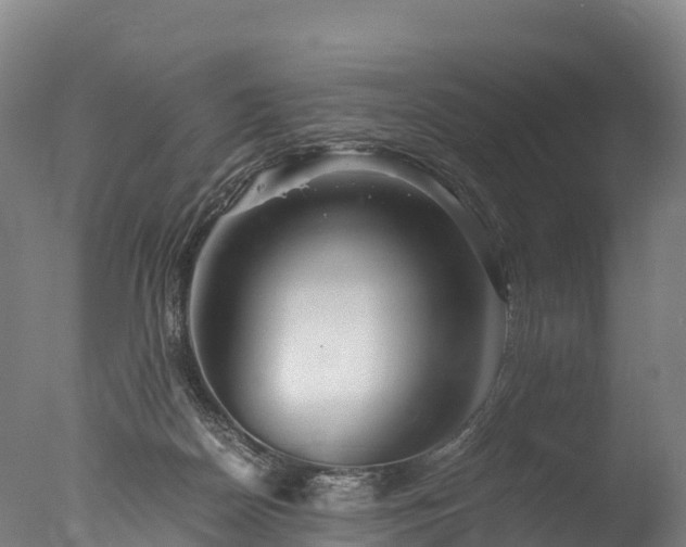 X0000076430170200610161202
