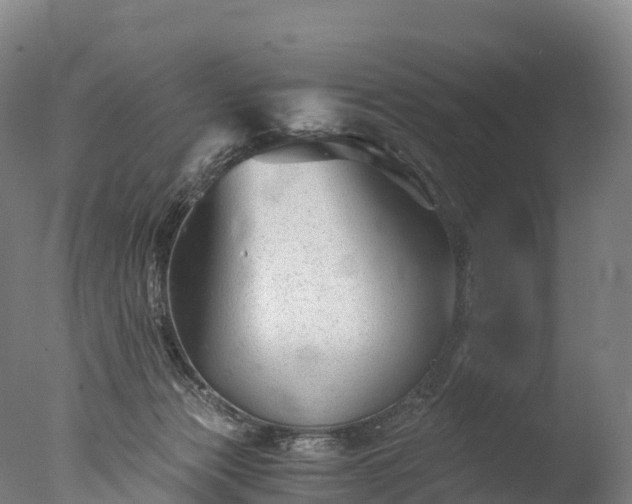 X0000076430173200610161202