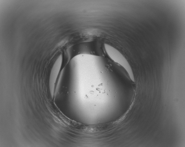 X0000076430174200610161202