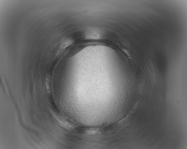 X0000076430175200610161202