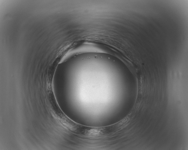 X0000076430176200610161202