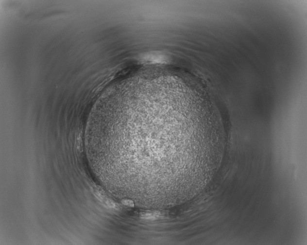 X0000076430177200610161202
