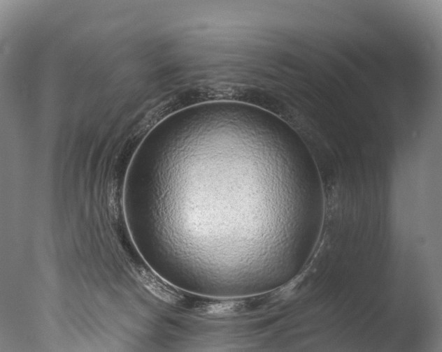 X0000076430178200610161202