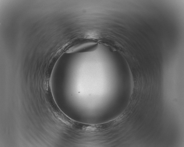 X0000076430180200610161202