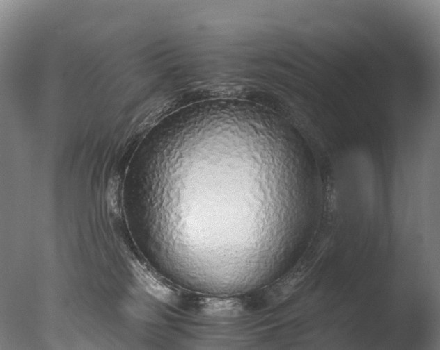 X0000076430185200610161202