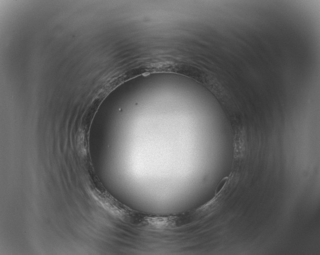 X0000076430187200610161202