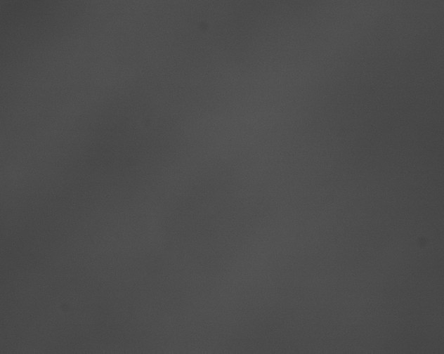 X0000076430189200610161202