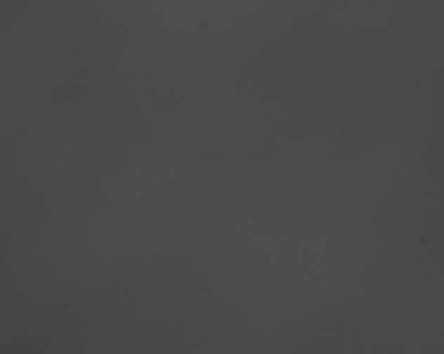 X0000076430192200610161202