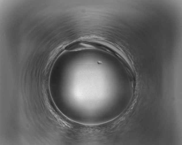 X0000076430193200610161201