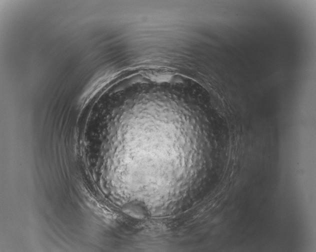X0000076430194200610161201