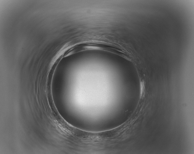 X0000076430195200610161201