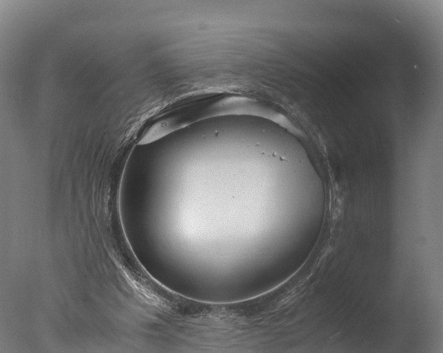 X0000076430201200610161201