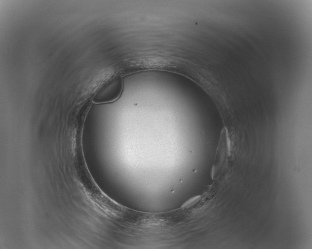 X0000076430206200610161201