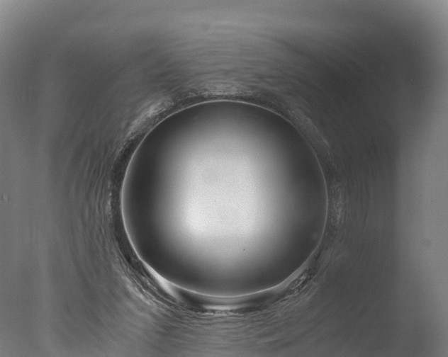 X0000076430207200610161201
