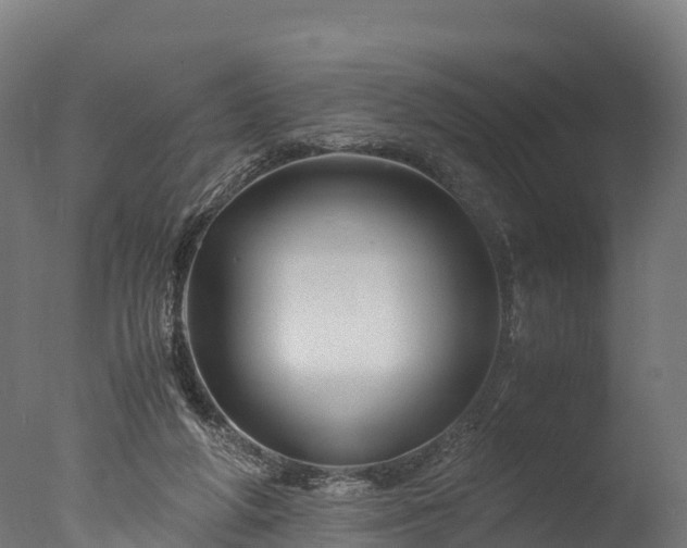 X0000076430210200610161201