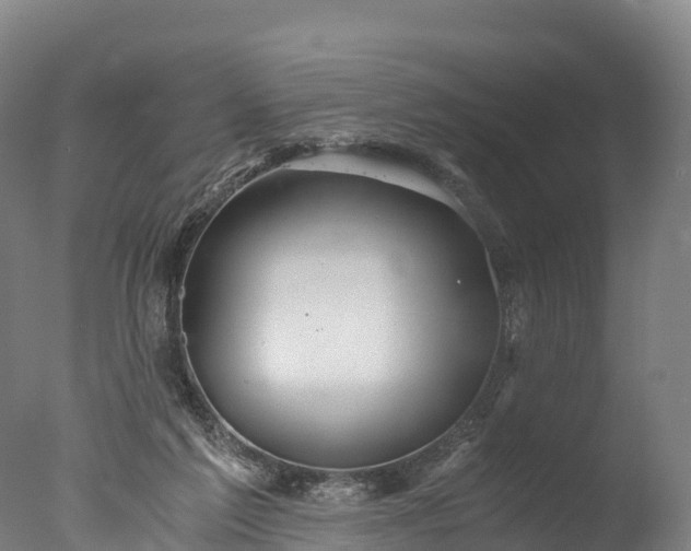 X0000076430213200610161201