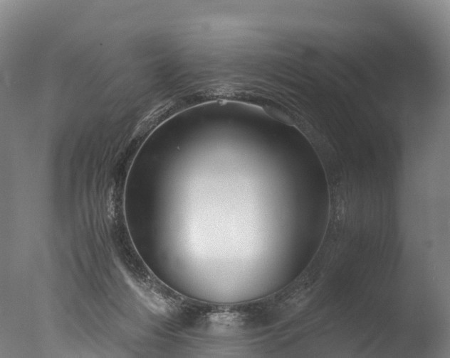 X0000076430216200610161201