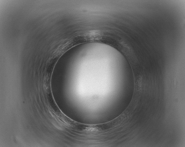 X0000076430218200610161201