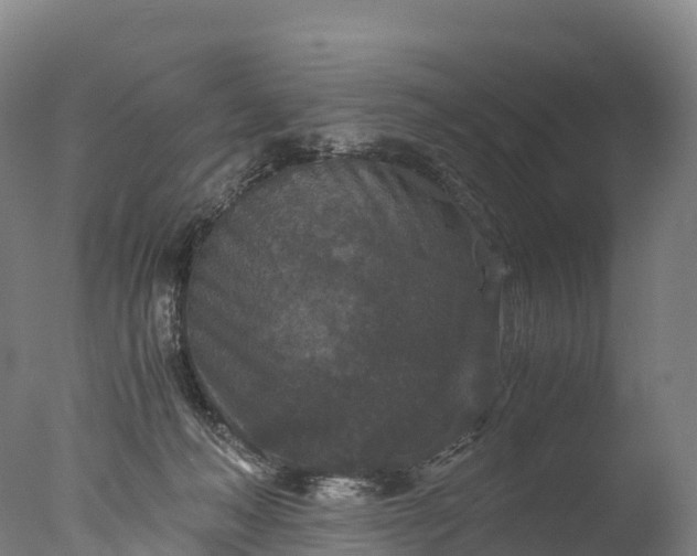 X0000076430222200610161201