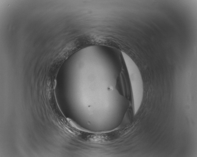 X0000076430223200610161201
