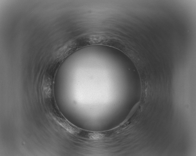 X0000076430226200610161201