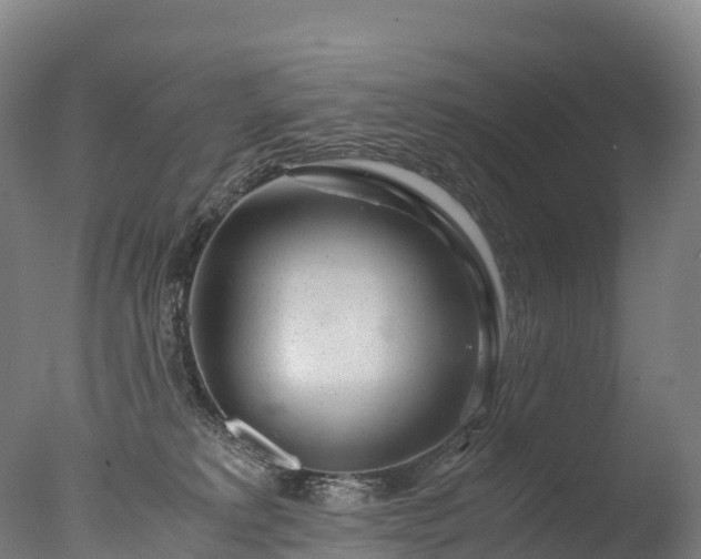 X0000076430229200610161201