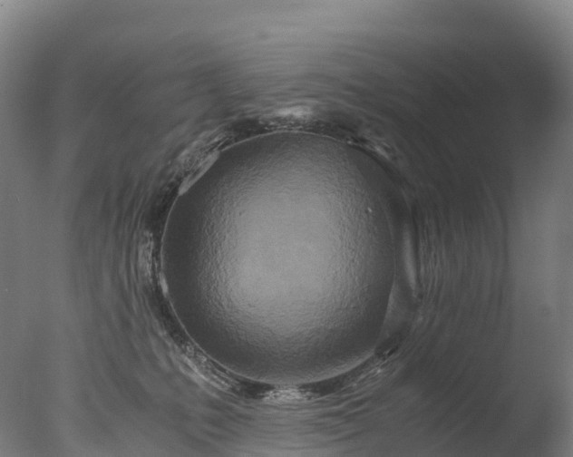 X0000076430231200610161201
