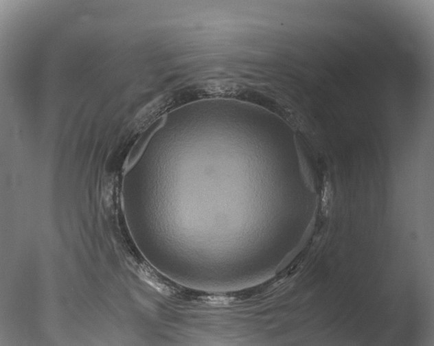 X0000076430233200610161201