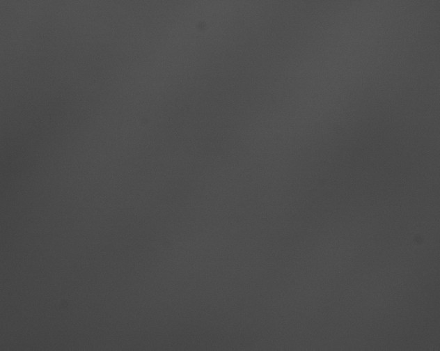 X0000076430238200610161200