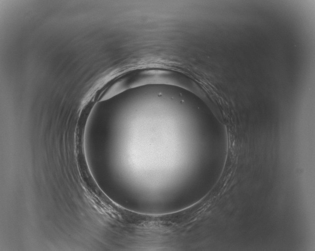 X0000076430244200610161200