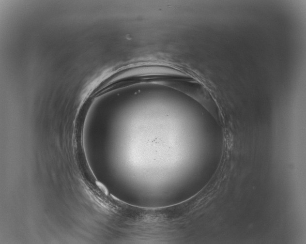 X0000076430248200610161200