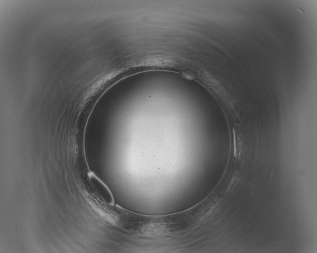 X0000076430252200610161200