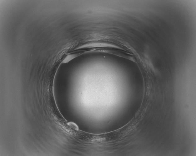 X0000076430257200610161200