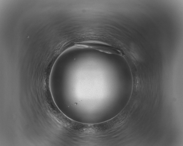 X0000076430259200610161200