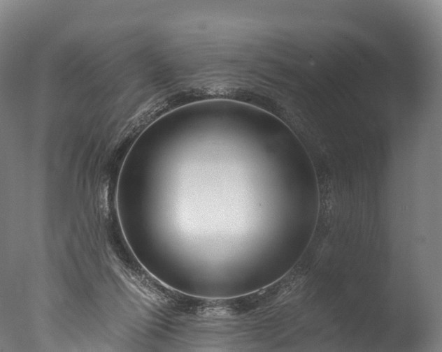 X0000076430262200610161200