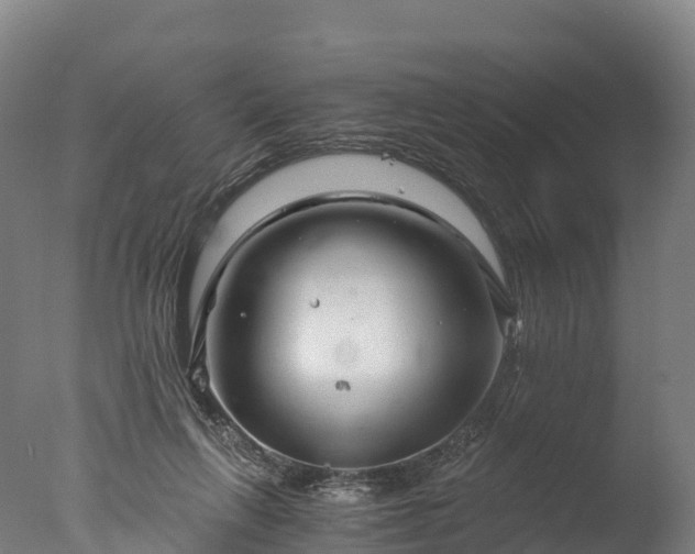 X0000076430263200610161200