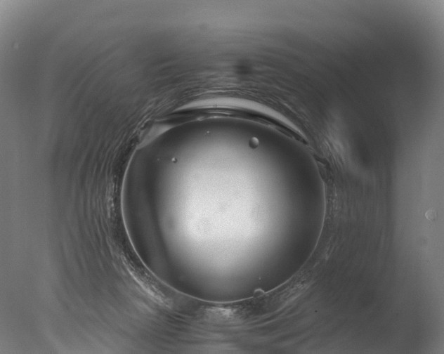 X0000076430265200610161200