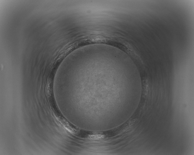 X0000076430266200610161200