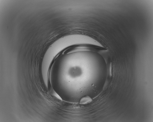 X0000076430267200610161200