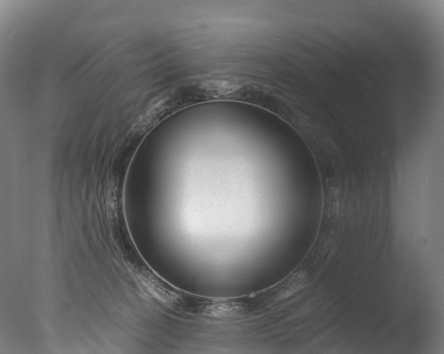 X0000076430274200610161200