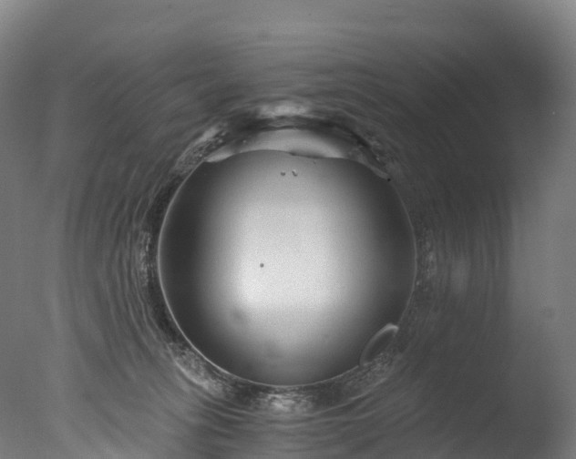 X0000076430275200610161200
