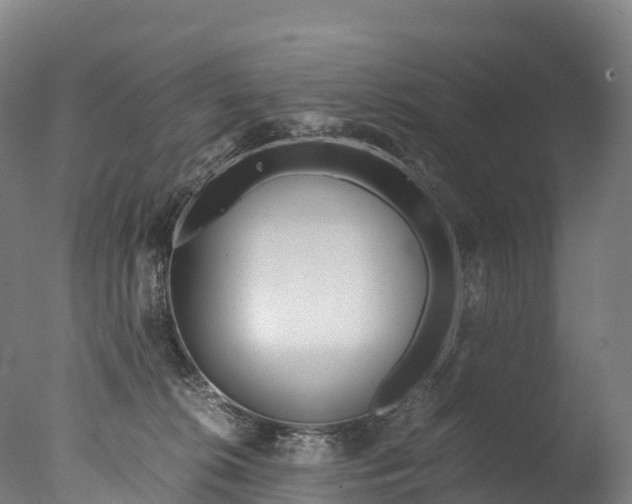 X0000076430276200610161200